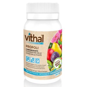 Propoli Vithal Bio Ital-Agro