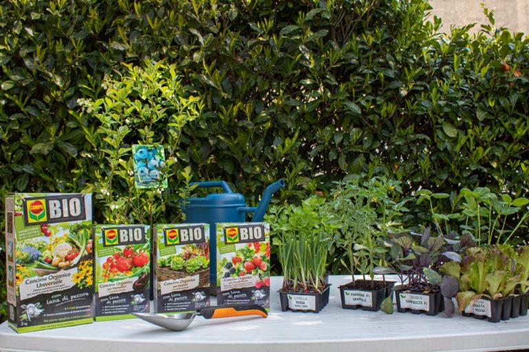 compo bio con lana di pecora