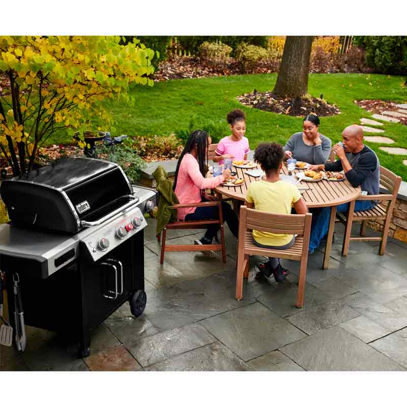 retort tobak bedstemor Barbecue smart Genesis II EX-335 GBS intelligente | Almanacco