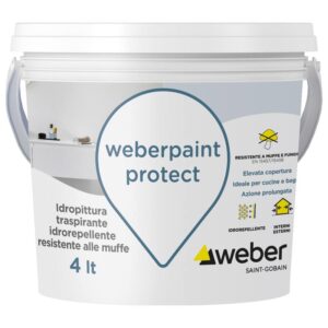 weberpaint protect Saint-Gobain