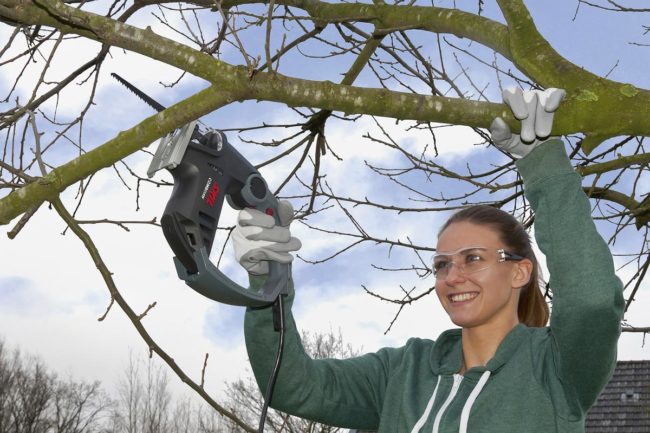 sega a gattuccio-3 sega a gattuccio